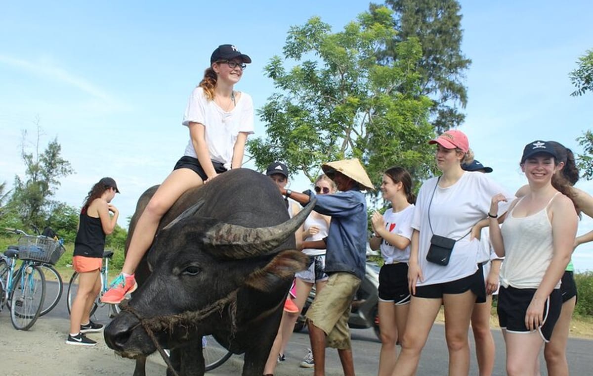 Half-day Farm To Table Adventure In Tra Que Village