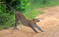 Leisure at Mud House and Mannar Story 07 Nights and 08 Days 10