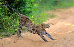 Leisure at Mud House and Mannar Story 07 Nights and 08 Days 10