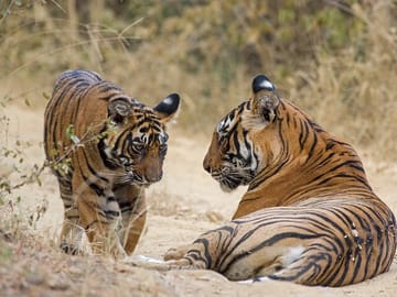 Private 9-Day Tour of Agra and Fatehpur Sikri Landmarks