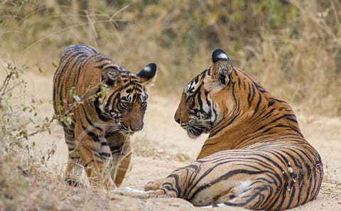 Private 9-Day Tour of Agra and Fatehpur Sikri Landmarks