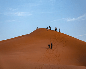 Enjoy by Unique Golden sand