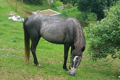 ***All-inclusive*** all Armenia in 7 Days with hikes and overnights