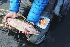 Wild brown trout fly fishing on a Connemara lough. Galway. Private guided. 