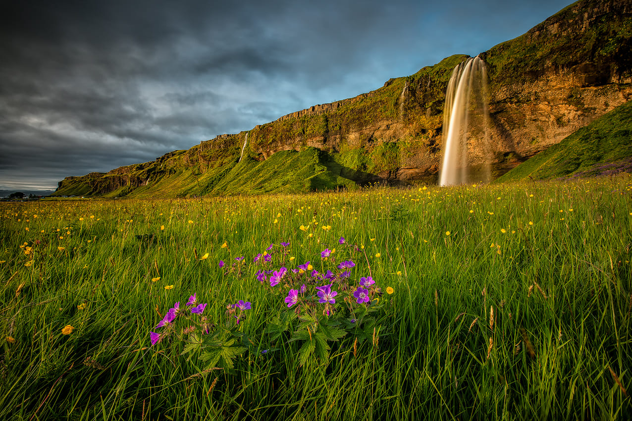 Seljalandsfoss in the South coast day tour