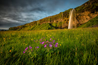 Seljalandsfoss in the South coast day tour