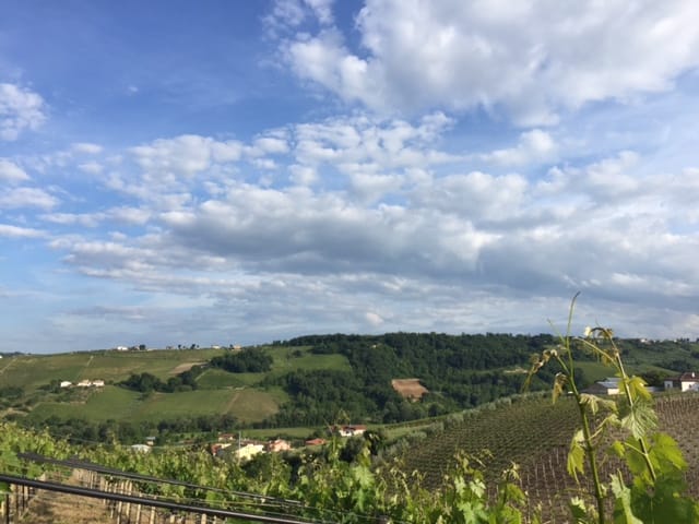 Panoramic Pian di Mare view 