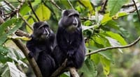 Arusha National Park Day tour  4