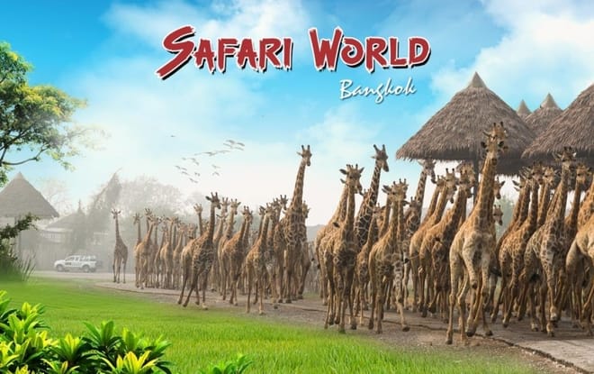 BANGKOK: Join Tour: Full Day Tour Safari World - Marine Park - Buffet Lunch with Private Transfer 2