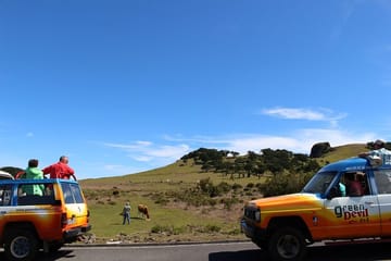 Private 4x4 Tour of Caniço and Porto Moniz in Madeira