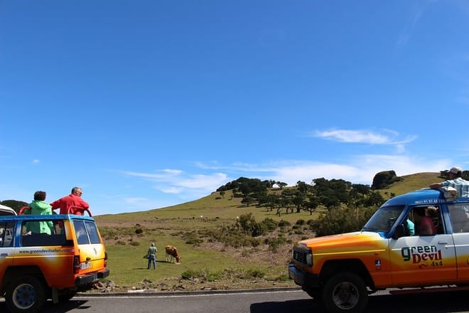 Private Small Group Full Day 4x4 Tour in Northwest Madeira photo 5