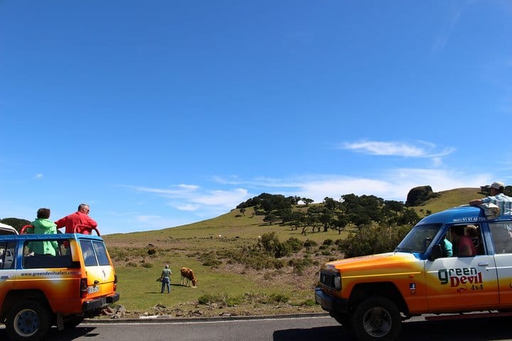 Private Small Group Full Day 4x4 Tour in Northwest Madeira 5