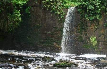 Amazon Waterfalls Tour in Presidente Figueiredo, Brazil