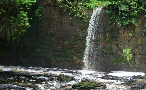 Amazon Waterfalls Tour in Presidente Figueiredo, Brazil
