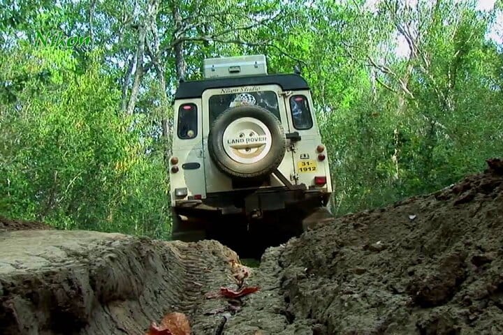Kumana National Park Full Day Safari from Arugam Bay 6