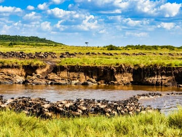 3 Days, 2 Nights Serengeti & Ngorongoro Conservation Safari
