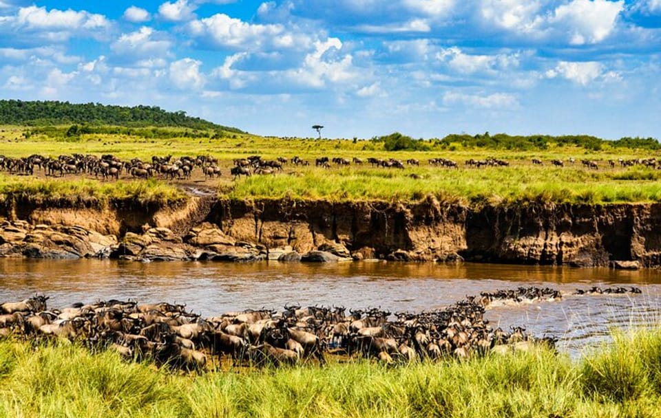 3 Days 2 Nights Serengeti and Ngorongoro Conservation Safari