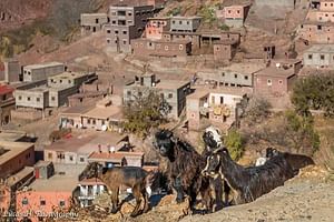 Day Trip from Marrakech To Imlil Valley: Berber Excursion with a Short Trek