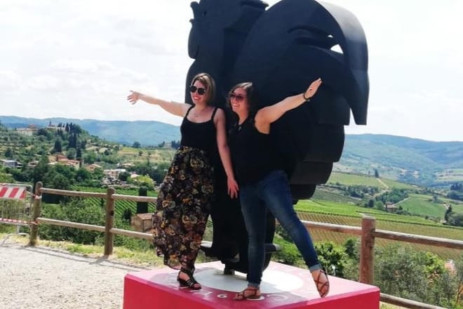 Safari in Chianti Open Top Van and Tasting Wine 5