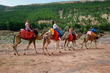 Camel Ride and Scenic Tour of Three Valleys near Marrakech