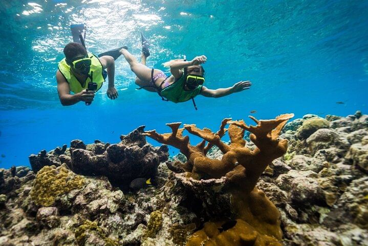 Snorkeling and Tubing in Montego Bay with Transportation
