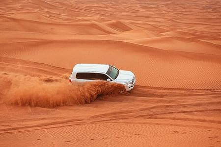 Private Morning Safari Desert with Flamingos Bird Watching