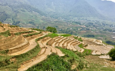 Overnight Homestay Adventure in Sapa, Vietnam - 2 Days