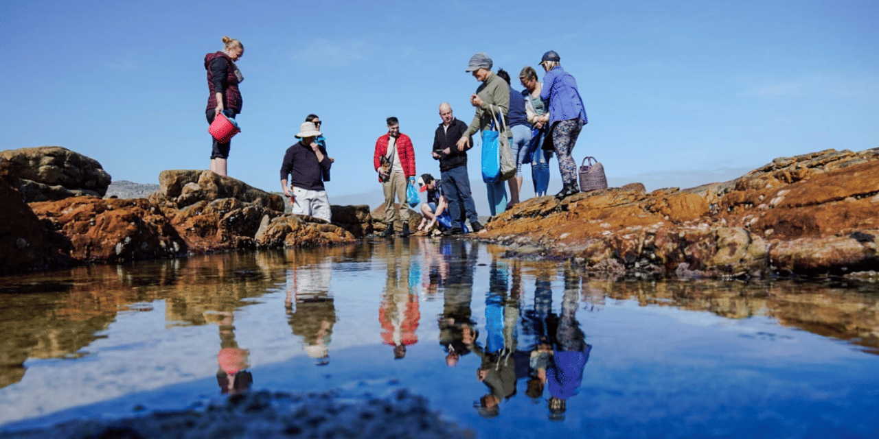 Scarborough: Coastal Foraging and Wild Food Lunch