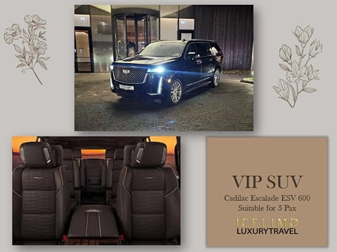Private luxury tour Northern Lights SUV 5 pax , photo 7