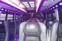 Transfer from Tbilisi Airport to Borjomi and Bakuriani. 8