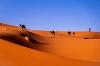Private 12-Day Morocco Tour – Cities, Desert, Coast & Royal Touch 3