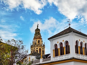 From Seville: Cordoba private day trip