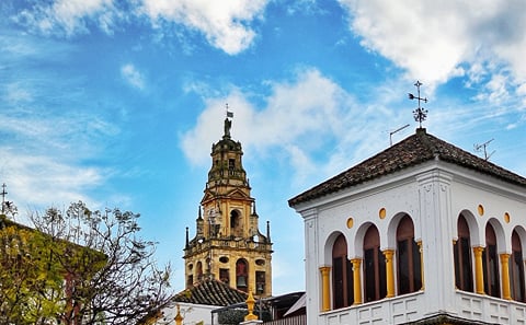 From Seville: Cordoba private day trip