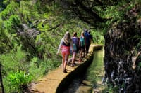 Private Small Group Full Day 4x4 Tour in Northwest Madeira 7