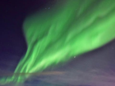 Reykjavík Whales & Northern Lights, photo 5