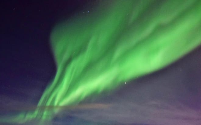 Reykjavík Whales & Northern Lights 4
