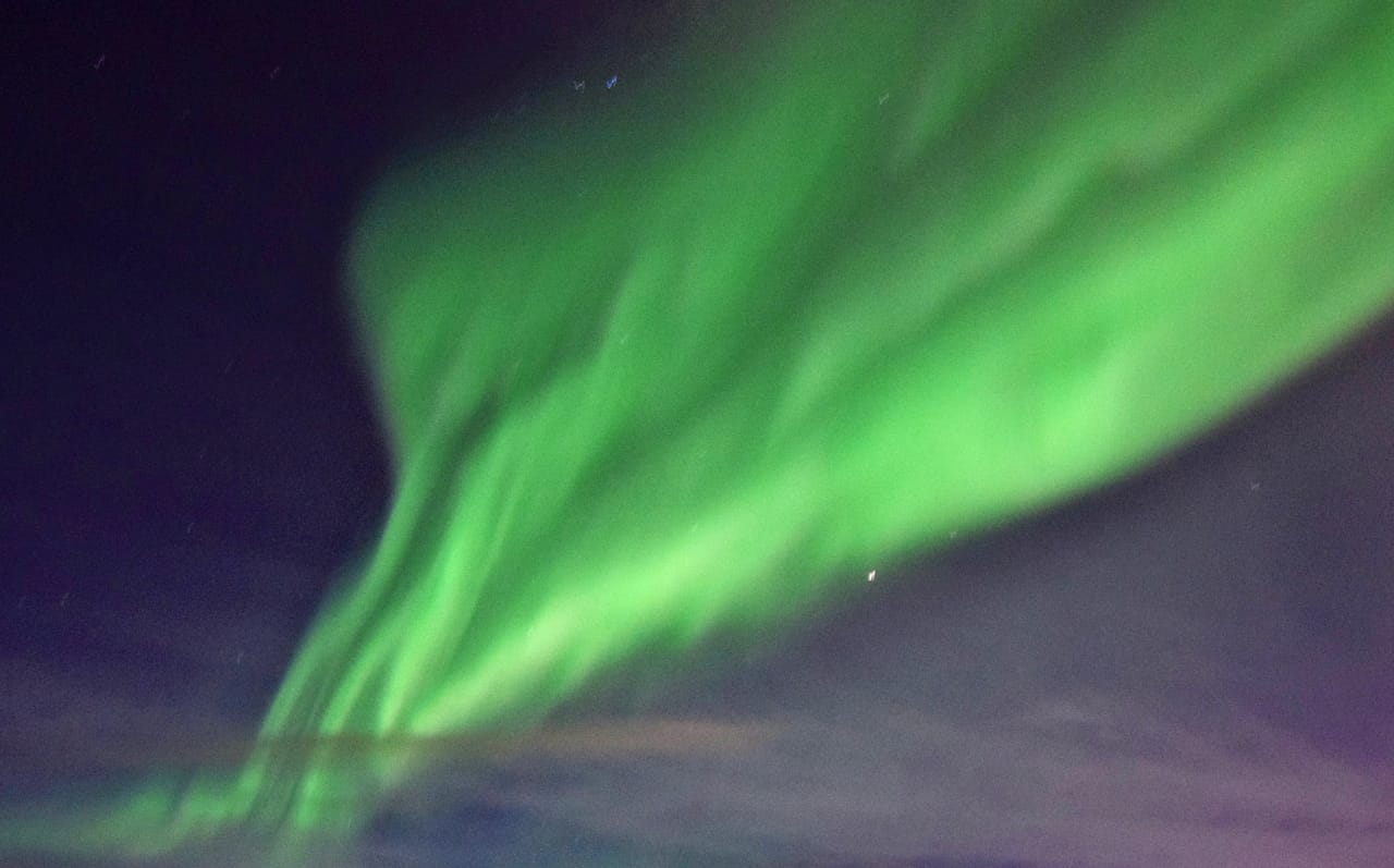 Reykjavík Whales & Northern Lights 4
