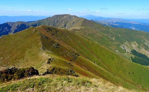 Hiking Tour in Central Balkan National Park from Plovdiv