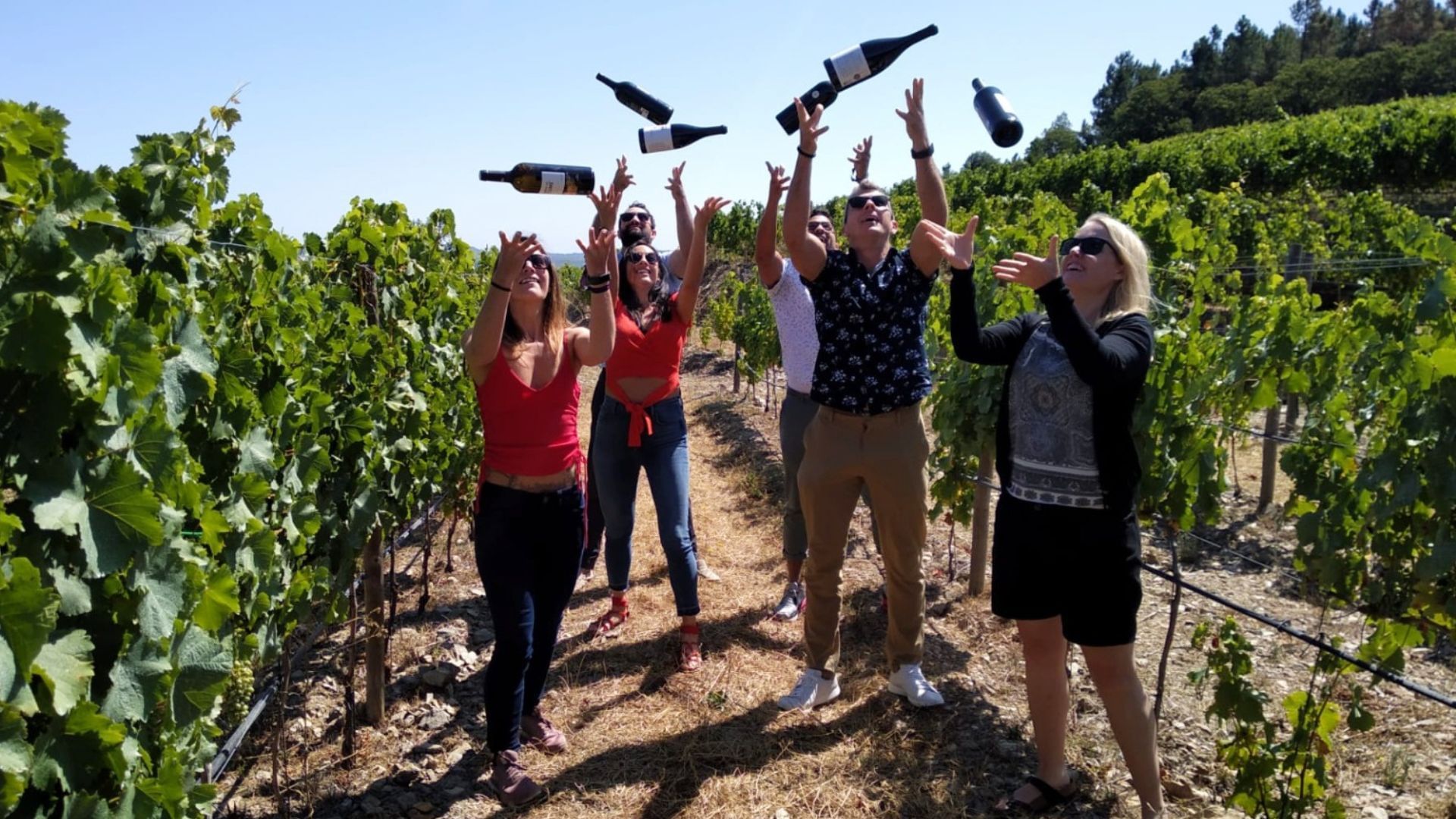 Image of a small group throwing wine bottles in the air in the vineyards on Cooltour Oporto's Douro Valley Wine Tour from Porto