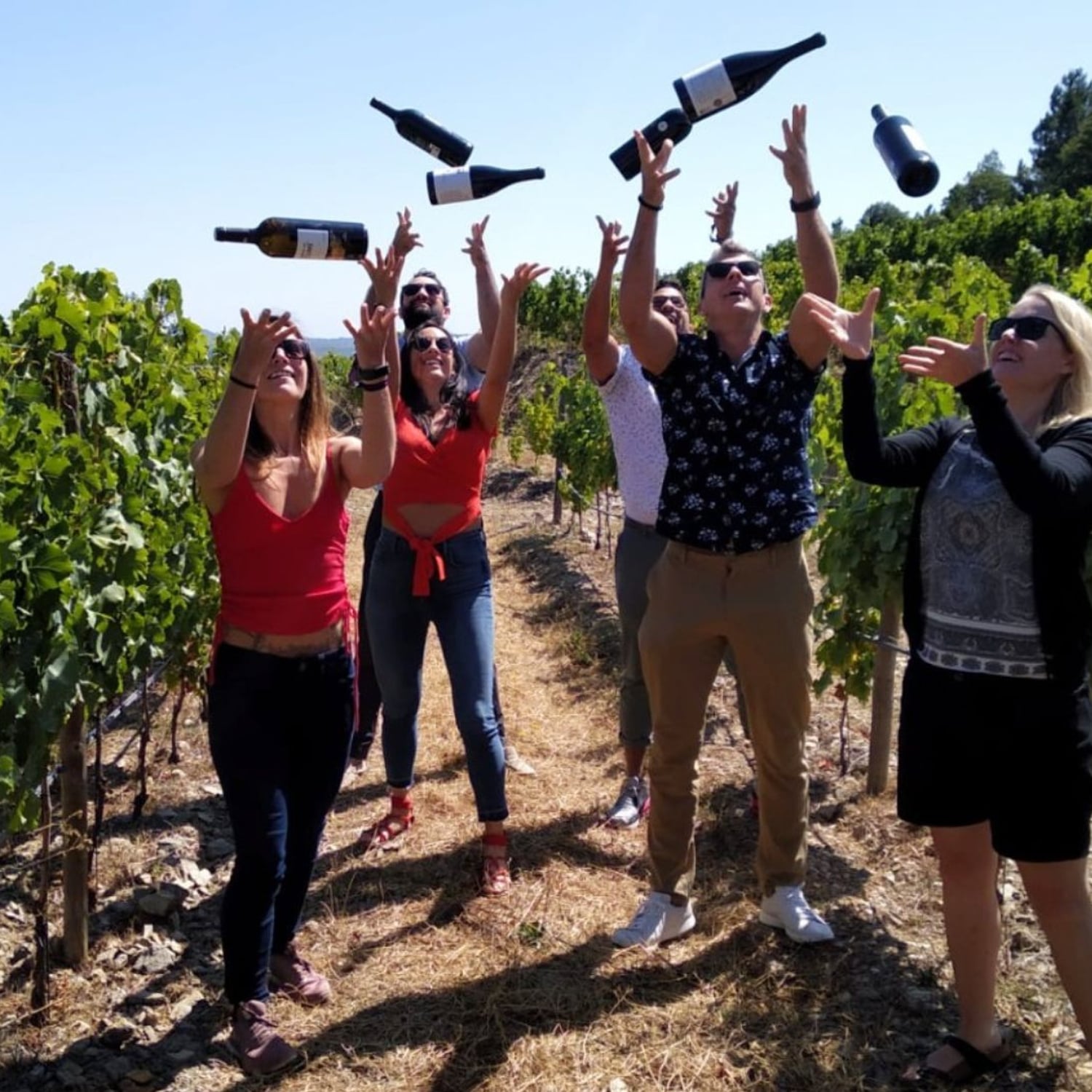 Douro: provas, almoço e cruzeiro