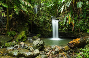 El Yunque off the Beaten Path Half Day Tour with Waterslide