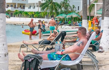 Wildlife adventure, Chocolate factory, city Tour & Beach Break