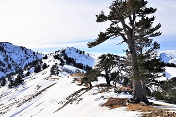 5-Day Adventure Tour in North Pindos National Park, Greece