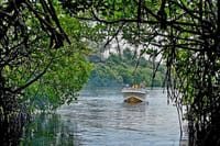  From Udawalawa: Boat Safari & Hikkaduwa Coral Reef Visit including Galle City 2