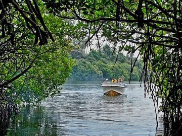 Boat Safari and Coral Reef Visit in Hikkaduwa and Galle