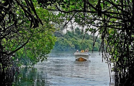 Boat safari & Hikkaduwa coral reef visit including Galle city from Udawalawa