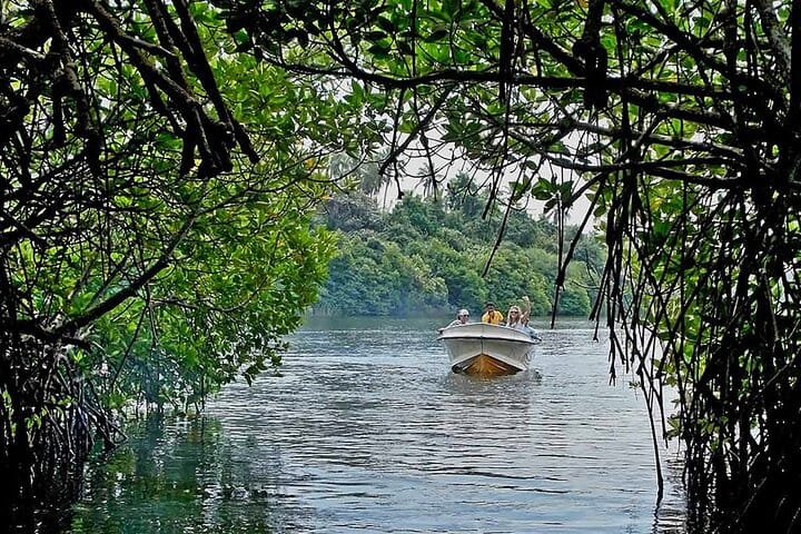  From Udawalawa: Boat Safari & Hikkaduwa Coral Reef Visit including Galle City 2