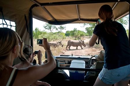 Luxury Safari Adventure at Solio Ranch: Explore Rhinos & Wildlife