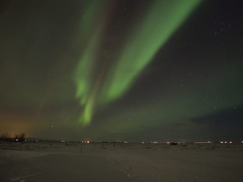 Private deutschsprachige Nordlicht-Tour mit Luxus-Van ab Reykjavík, photo 2