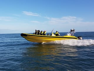 Solar Eclipse by RIB Speedboat from Reykjavík, photo 8
